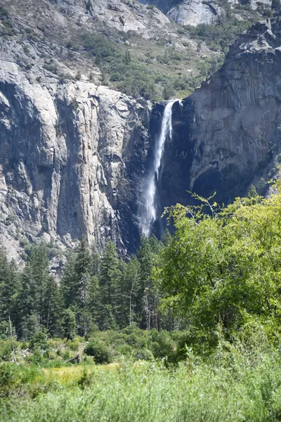 DSC_4353 (Large).JPG